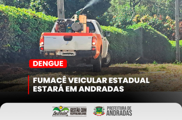 Combate à dengue