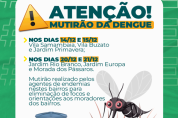 SAÚDE PROMOVE MUTIRÃO CONTRA A DENGUE