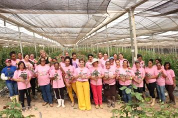 OUTUBRO ROSA EM ANDRADAS: PROCURE A UNIDADE DE SAÚDE MAIS PRÓXIMA DA SUA CASA!