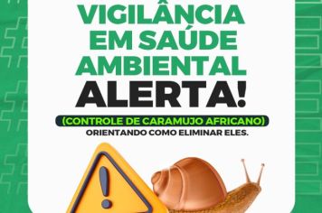 CARAMUJO AFRICANO: SAÚDE DÁ DICAS DE COMO SE LIVRAR DESSA PRAGA