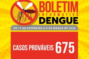 DENGUE: ANDRADAS JÁ TEM QUASE 700 CASOS PROVÁVEIS DA DOENÇA