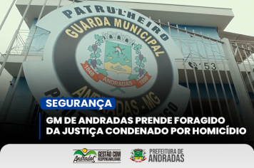 Segurança em foco
