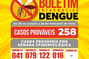 CASOS DE DENGUE AUMENTAM EM ANDRADAS