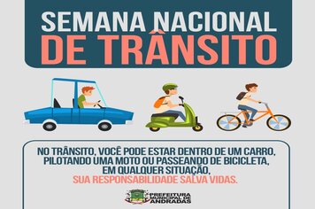 RESPEITE O SEU COMPANHEIRO DE TRÂNSITO!