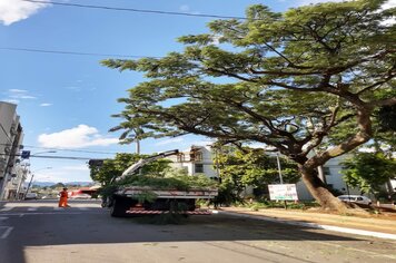 PREFEITURA DE ANDRADAS PROMOVE PODA DE VEGETAÇÃO COMO AÇÃO PREVENTIVA