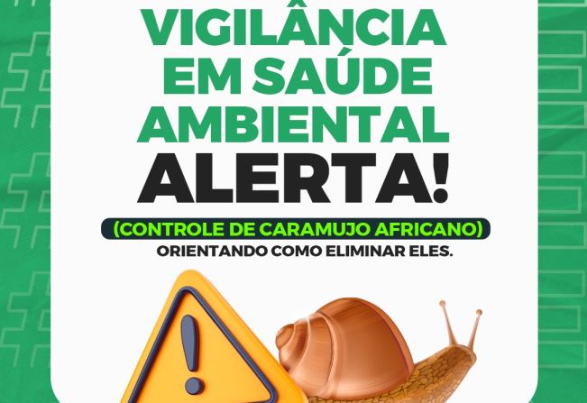 CARAMUJO AFRICANO: SAÚDE DÁ DICAS DE COMO SE LIVRAR DESSA PRAGA