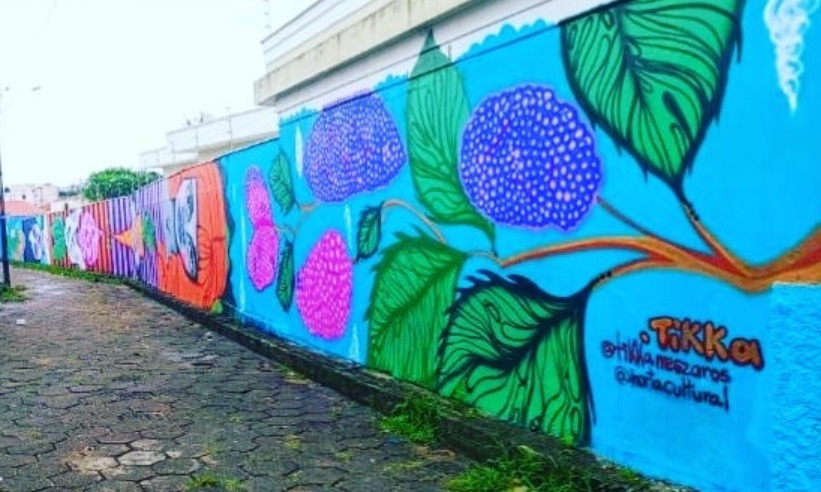 PREFEITURA DE ANDRADAS E PROJETO HORTA CULTURAL PROMOVEM A VISITA DA ARTISTA GRAFITEIRA BÁRBARA GOY