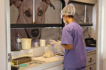 CASTRAÇÃO DE FÊMEAS DE CÃES E GATOS: PREFEITURA DE ANDRADAS PROMOVE O CADASTRO NO ESTÁDIO JK