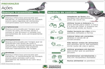 VOCÊ SABIA QUE OS POMBOS TRANSMITEM DOENÇAS AOS SERES HUMANOS?