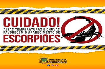 ESCORPIÃO: 15 PESSOAS JÁ FORAM PICADAS ESSE ANO EM ANDRADAS