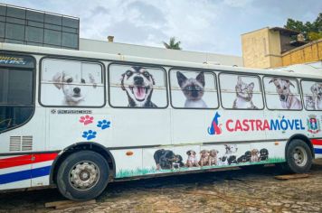 PREFEITURA DE ANDRADAS PROMOVE A CASTRAÇÃO DE FÊMEAS DE CÃES E GATOS ATÉ O DIA 20 DE ABRIL