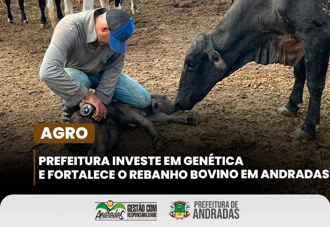Prefeitura de Andradas fortalece o campo com programa de melhoramento genético