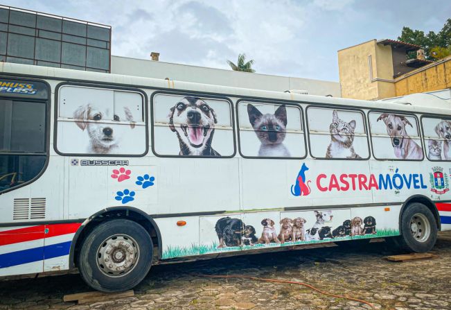 PREFEITURA DE ANDRADAS PROMOVE A CASTRAÇÃO DE FÊMEAS DE CÃES E GATOS ATÉ O DIA 20 DE ABRIL