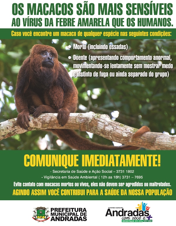 MACACO ENCONTRADO MORTO NO BAIRRO DOS LOBOS PROVOCA ALERTA PARA A FEBRE AMARELA